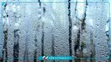 رسیدن رطوبت در برخی نقاط خوزستان به مرز ۹۹ درصد